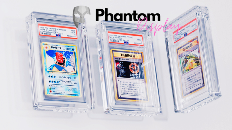 Phantom Display: Elevating Collections with Pride
